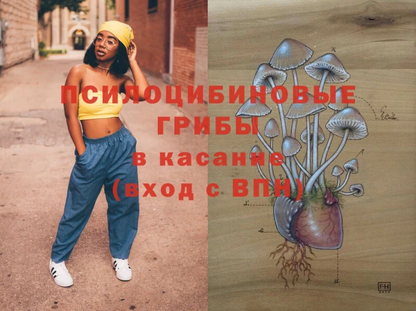 не бодяженный Абаза