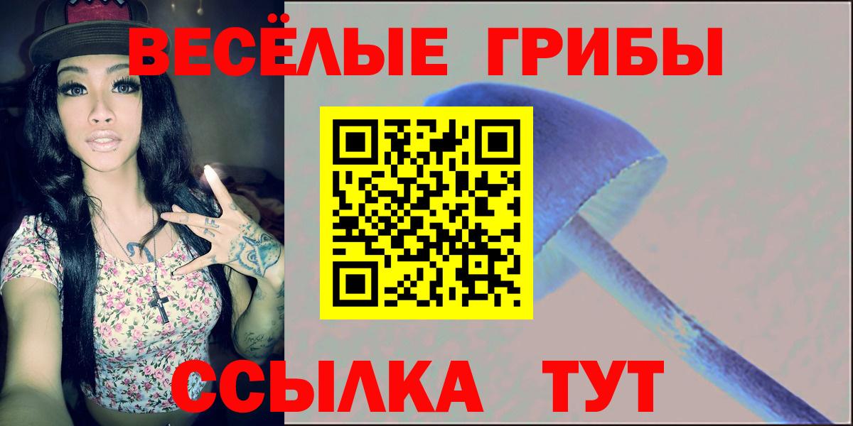 Псилоцибиновые грибы GOLDEN TEACHER  Псилоцибиновые грибы Magic Shrooms  Саянск  Вход с VPN 