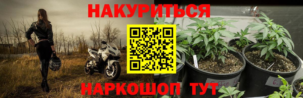 Бошки Шишки Bruce Banner Саянск